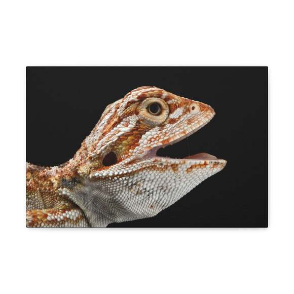 Smiling Bearded Dragon Baby Close Up Print Animal Wall Art Wildlife Canvas Print